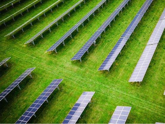 Inciativas para um mundo mais verde